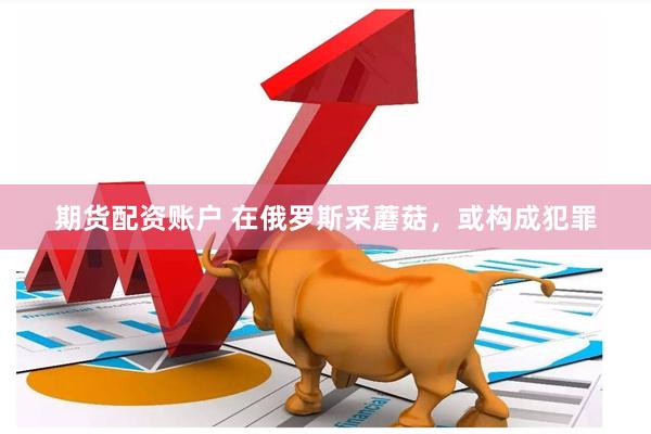 期货配资账户 在俄罗斯采蘑菇，或构成犯罪
