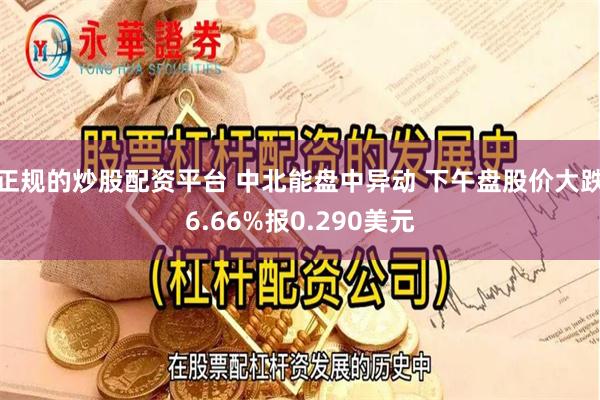 正规的炒股配资平台 中北能盘中异动 下午盘股价大跌6.66%报0.290美元