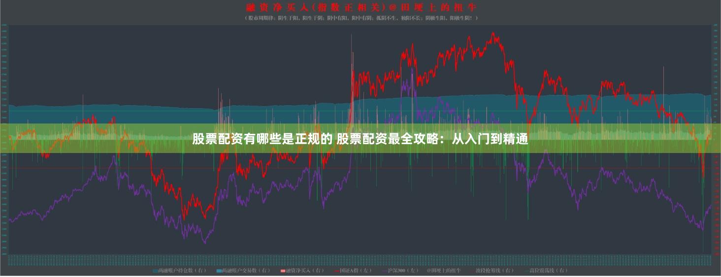 股票配资有哪些是正规的 股票配资最全攻略：从入门到精通