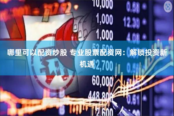 哪里可以配资炒股 专业股票配资网：解锁投资新机遇